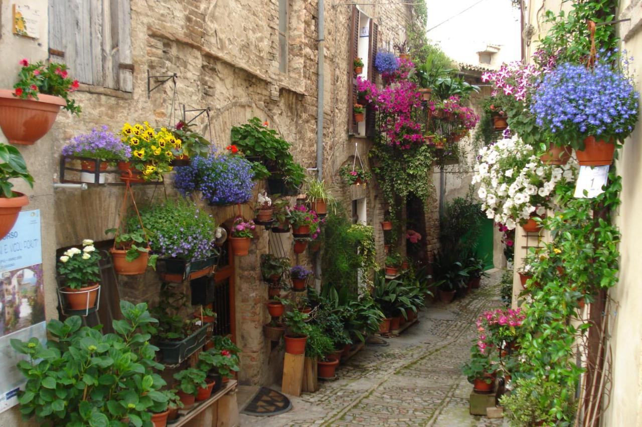 B&B Il Sognatore เปรูจา ภายนอก รูปภาพ